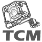 Bloki elektroniczne (TCM) - 0AM (DQ200)