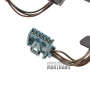 Okablowanie sterownika GENERAL MOTORS 4L60E 4L65E [złącze 17 pinów, złącza: czujnik prędkości wejściowej, elektrozawór nowego typu EPC, czujnik położenia dźwigni zmiany biegów nowego typu (6 pinów), czujnik temperatury]