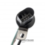 Okablowanie sterownika VAG 0C8 / AISIN WARNER TR-80SD - 0C8927363A (złącze 8-pinowe)