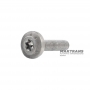 Śruba aluminiowa NISSAN GE9R01A / JATCO JR913E, Mercedes-Benz 725.0 – M6 X 25 mm