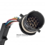 Okablowanie modułu elektronicznego ZF ZF 6HP19A 6HP26A 6HP28AF - (pin nr 16 nieaktywny)