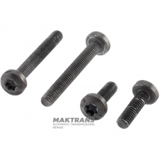 Zestaw śrub do elektroniki VAG DQ381 0GC - 2 śruby (M6 x 20 mm) / 2 śruby (M6 x 45 mm)