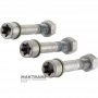 Zestaw śrub wału napędowego skrzyni rozdzielczej BorgWarner BW4440 - CHRYSLER 300 V6 3.6L, skrzynia biegów 845RFE, 6509996AA, 6509429AA, 6509330AA, 6509995AA