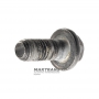 Zestaw śrubowy do koła zębatego ślimakowego mechanizmu różnicowego FORD 6F50, 6F55 - 16 śrub w zestawie (Ř zewn. 9,85 mm, długość napędów 25 mm, 12,90)