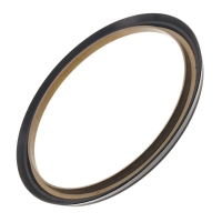 Uszczelniacz olejowy konwertera momentu obrotowego Hyundai/Kia A8LF1, A8LF2 — 60,20 x 70,20 x 3,80