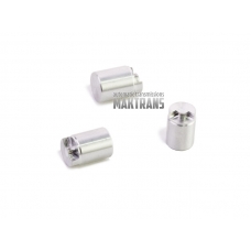 Zaślepka Main Pressure End Plug (rozmiar+0.015 mm) U441E AW81-40LS GEN.2